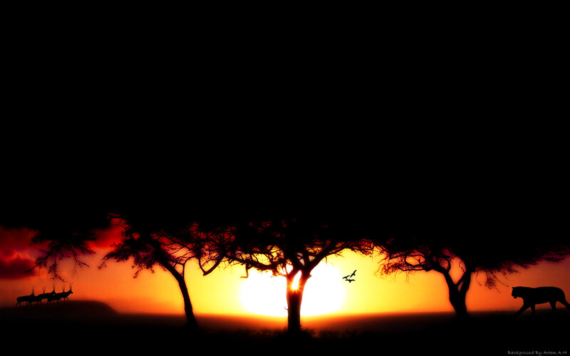 Sunset silhouettes in savanna