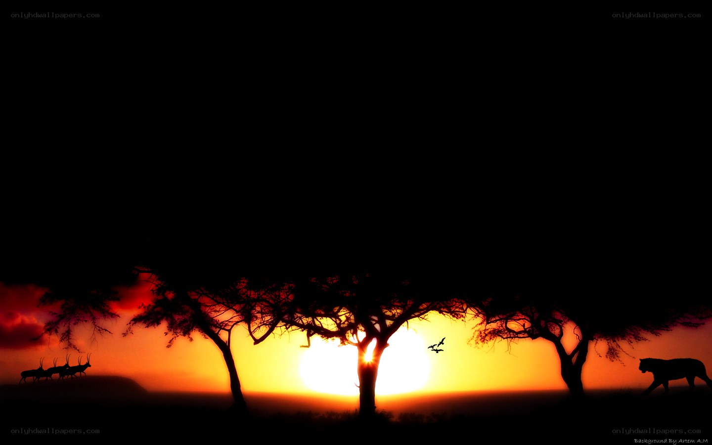 Sunset silhouettes in savanna