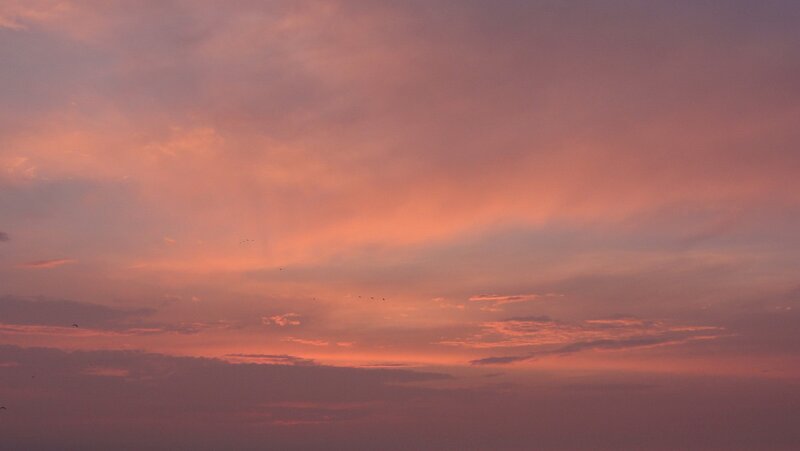 sunset sky with birds