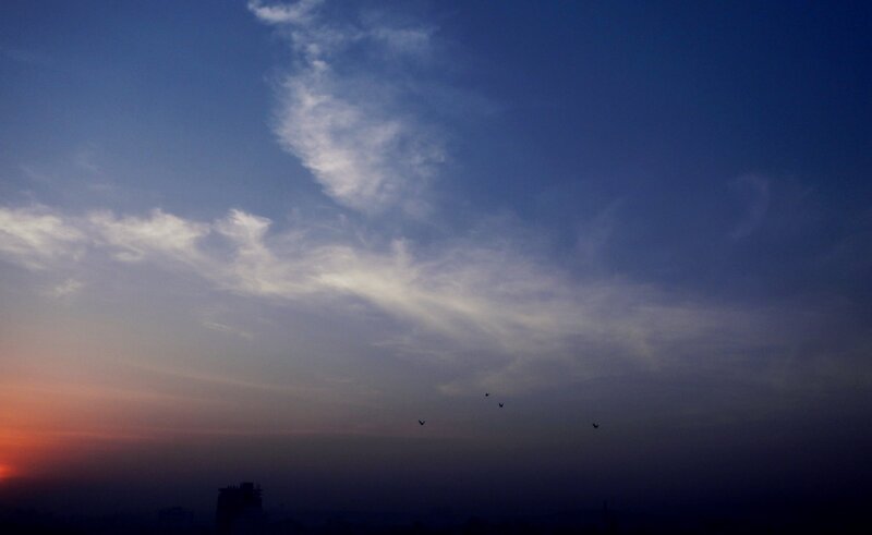 sunset sky with birds