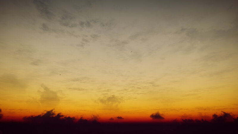Sunset Sky with Birds — Orange, Serene