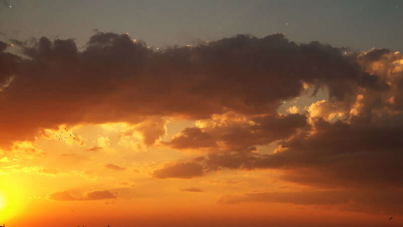 Sunset Sky with Birds — Orange