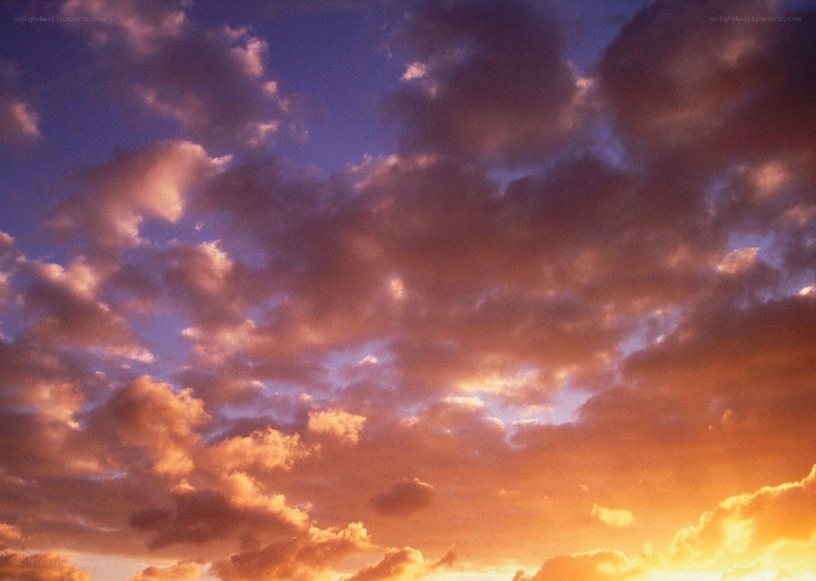 Sunset sky with clouds