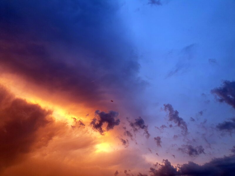 Sunset Sky with Clouds — Blue, Dramatic, Photograph, Sun, Bird