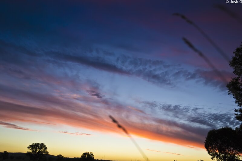 Sunset Sky with Clouds — Blue, Dramatic, Photograph, Trees, Grass
