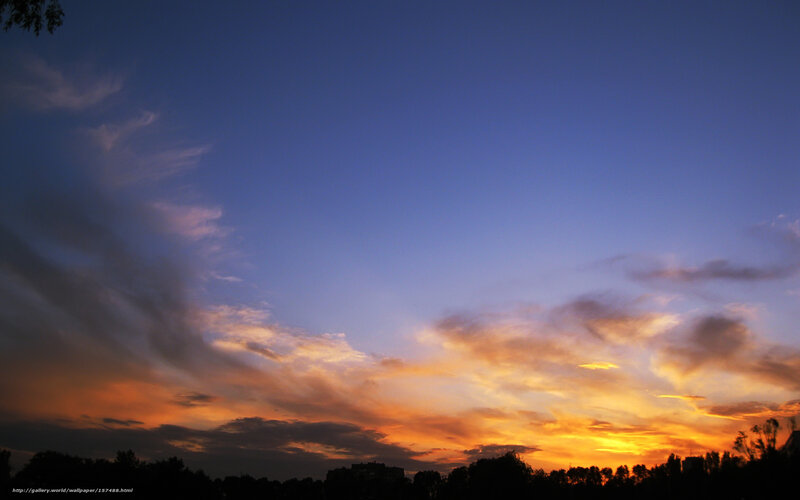 Sunset Sky with Clouds — Blue, Dramatic, Photograph, Trees