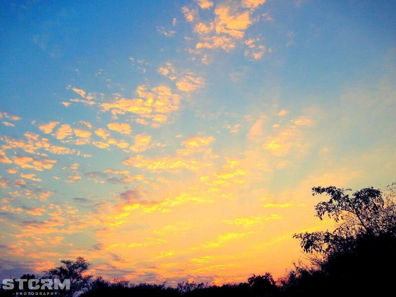 Sunset Sky with Clouds — Blue, Serene, Photograph, Trees, Orange
