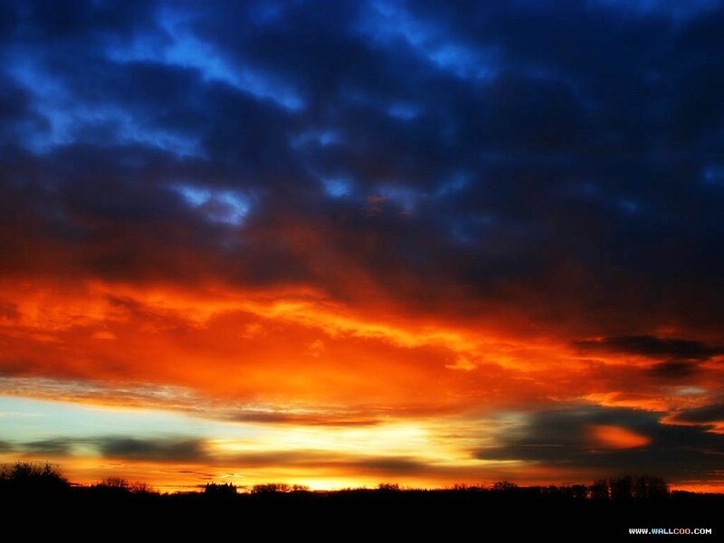 Sunset Sky with Clouds — Orange, Dramatic, Photograph, Horizon, Trees