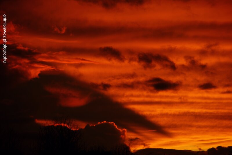 Sunset Sky with Clouds — Orange, Dramatic, Photograph, Silhouette, Red, Black, Animisiewaz Photography