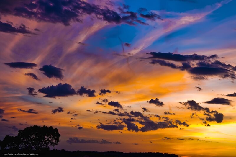 Sunset Sky with Clouds — Orange, Dramatic, Photograph, Tree