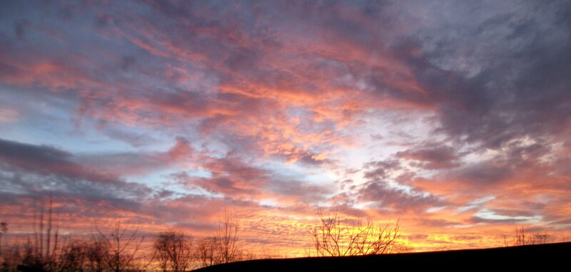 Sunset Sky with Clouds — Orange, Dramatic, Photograph, Trees, Horizon