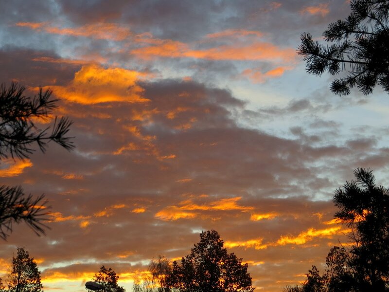 Sunset Sky with Clouds — Orange, Dramatic, Photograph, Trees, Pine Branches