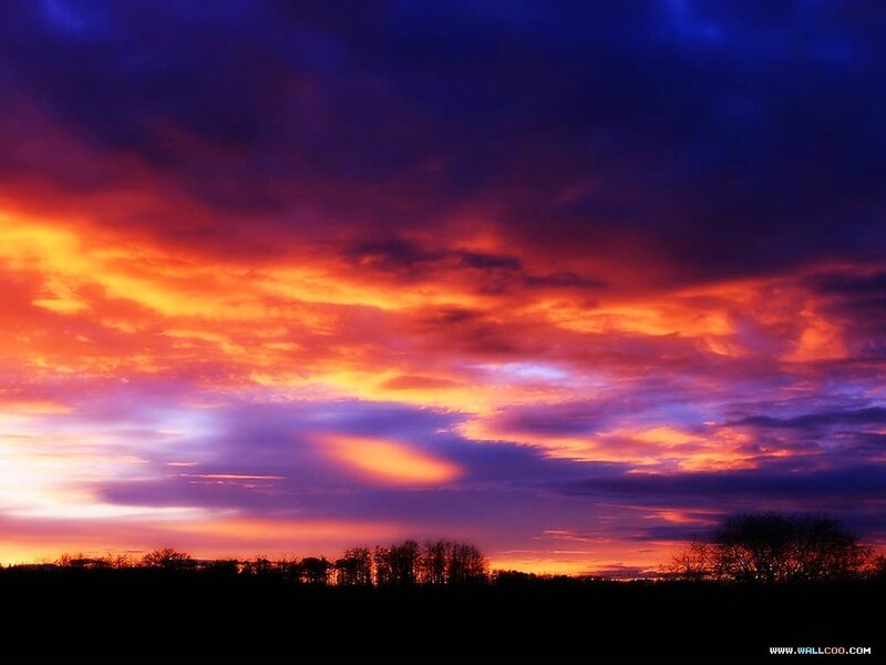 Sunset Sky with Clouds — Orange, Dramatic, Photograph, Trees, Purple