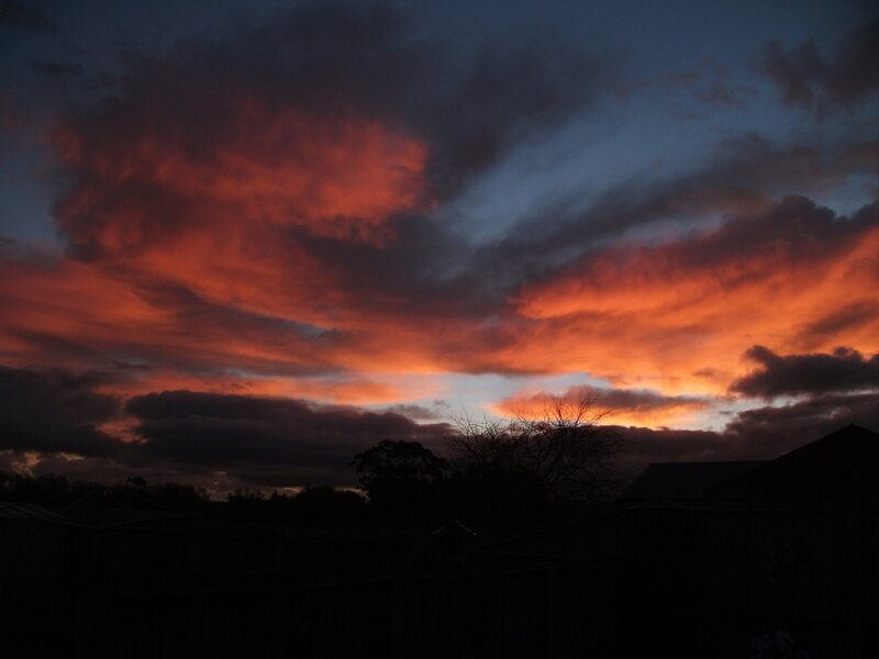 Sunset Sky with Clouds — Orange, Dramatic, Photograph, Trees, Silhouette