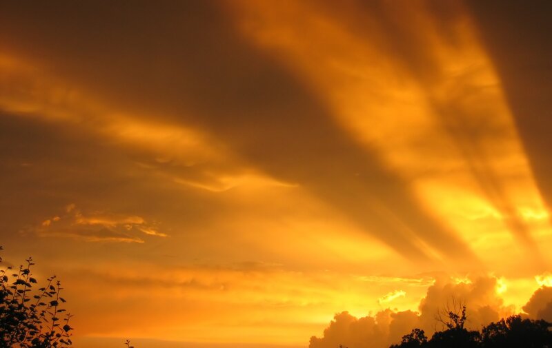 Sunset Sky with Clouds — Orange, Dramatic, Photograph, Trees, Sunlight
