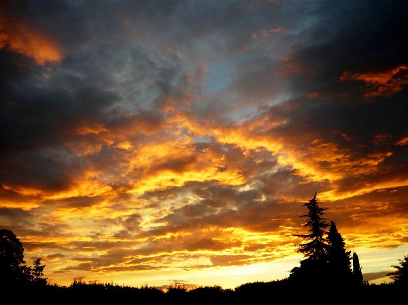 Sunset Sky with Clouds — Orange, Dramatic, Photograph, Trees