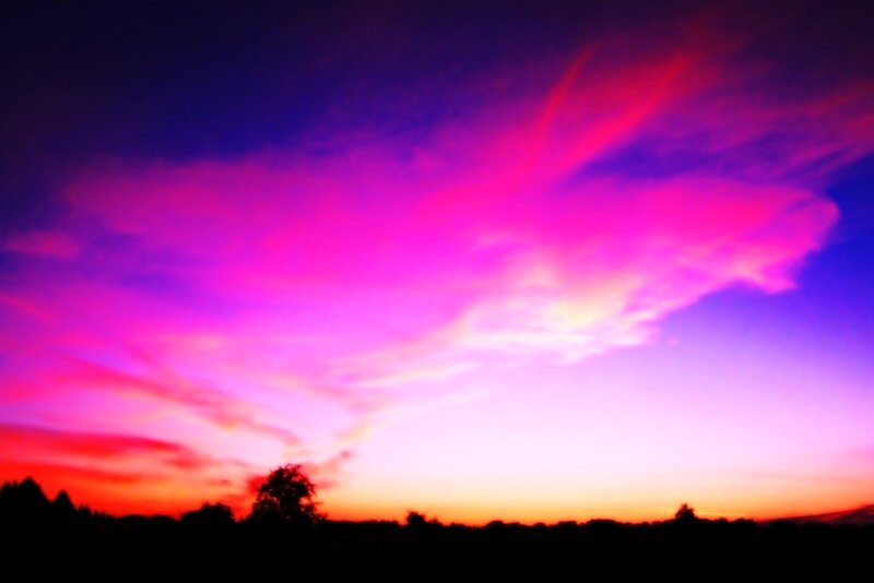 Sunset Sky with Clouds — Purple, Dramatic, Photograph, Trees, Horizon, Pink