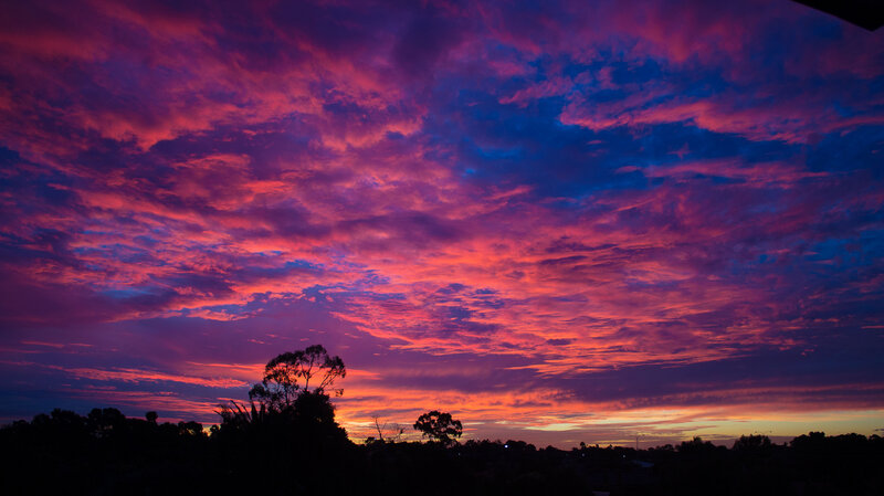 Sunset Sky with Clouds — Purple, Dramatic, Photograph, Trees, Horizon
