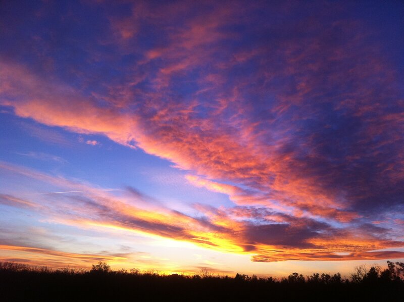 Sunset Sky with Clouds — Purple, Dramatic, Photograph, Trees