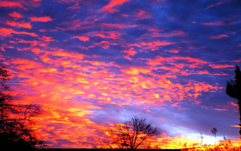 Sunset Sky with Clouds — Red, Dramatic, Photograph, Trees, Purple