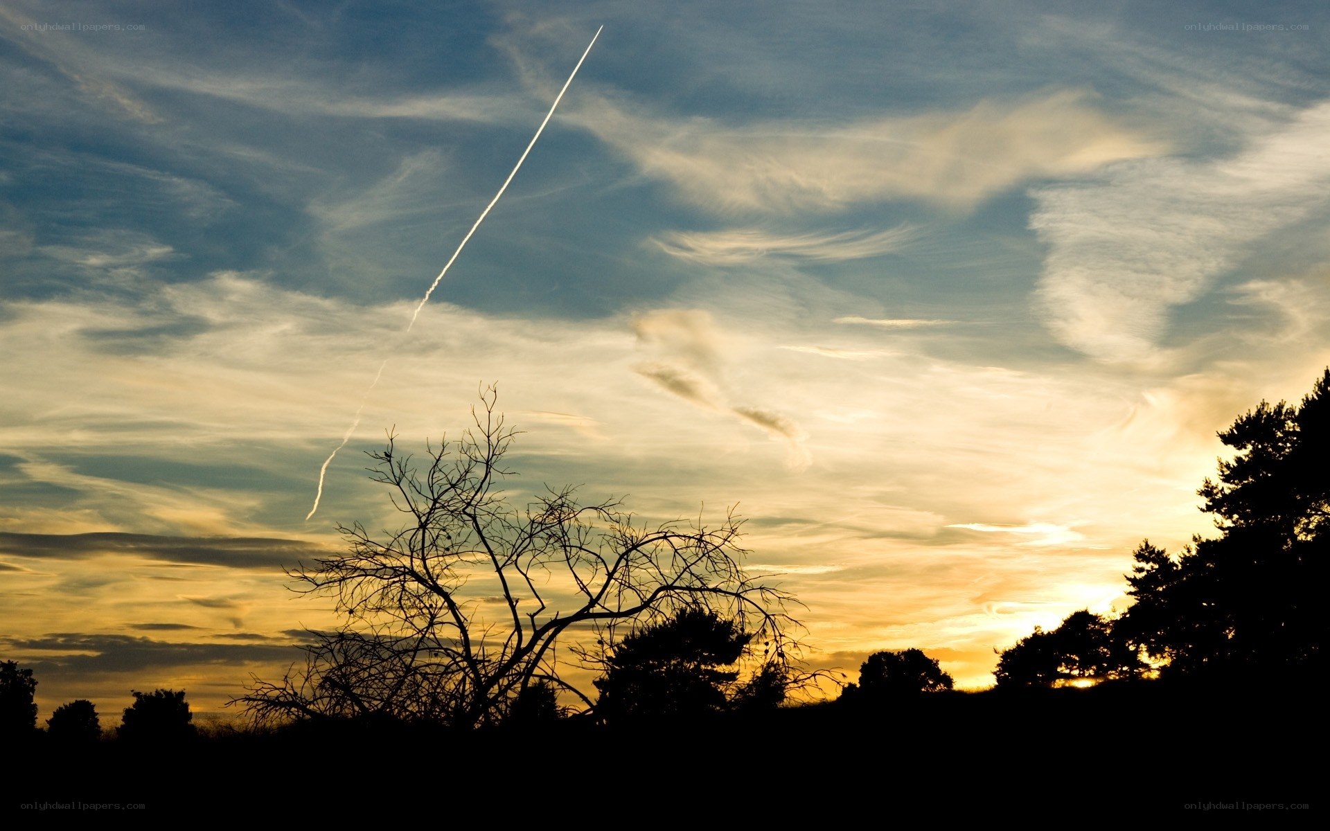 Sunset sky with contrail