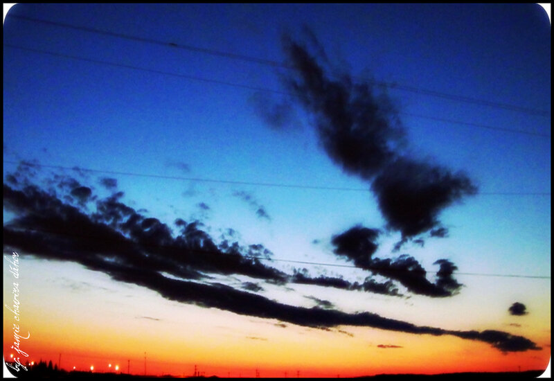 sunset sky with power lines