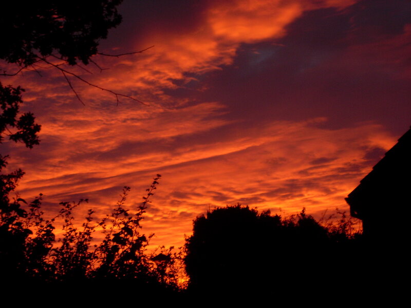 Sunset Sky with Silhouettes