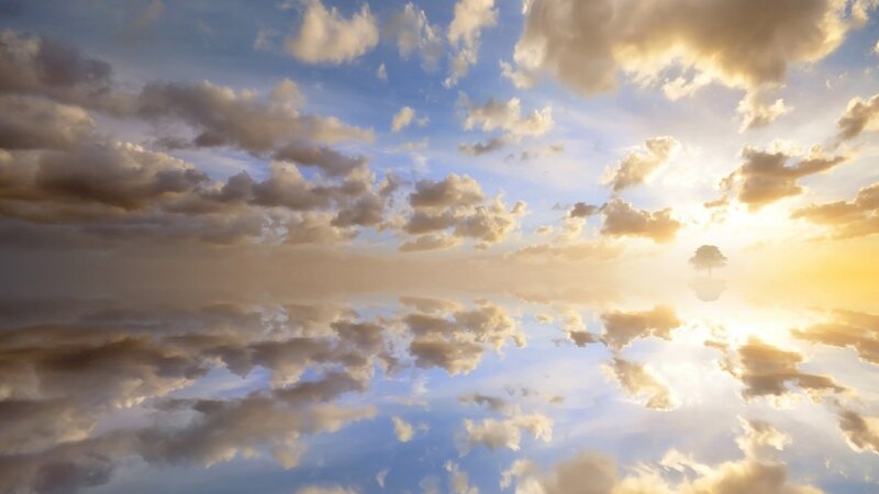 sunset sky with tree reflection