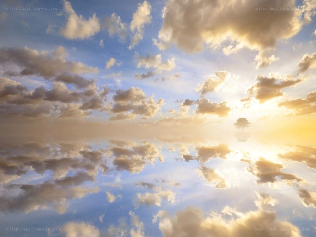 sunset sky with tree reflection