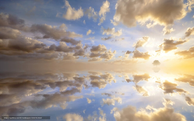 sunset sky with tree reflection