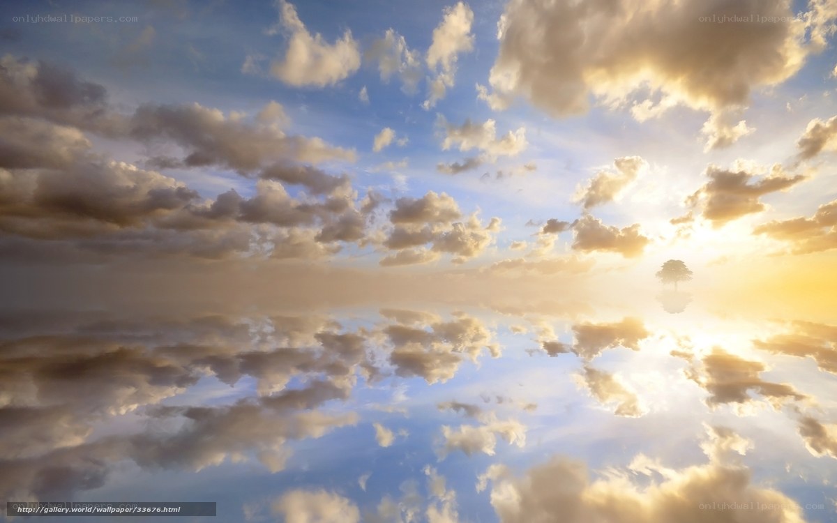 sunset sky with tree reflection