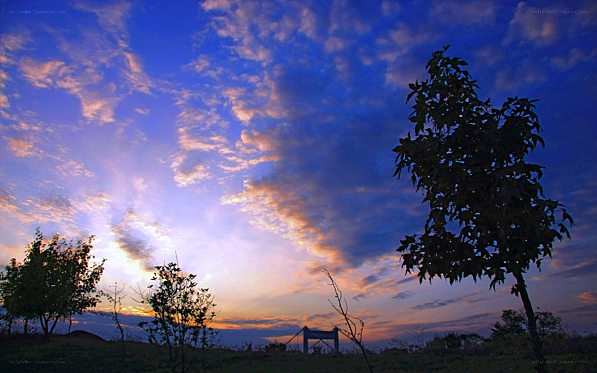 sunset sky with trees