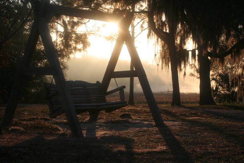 sunset swing in misty woods