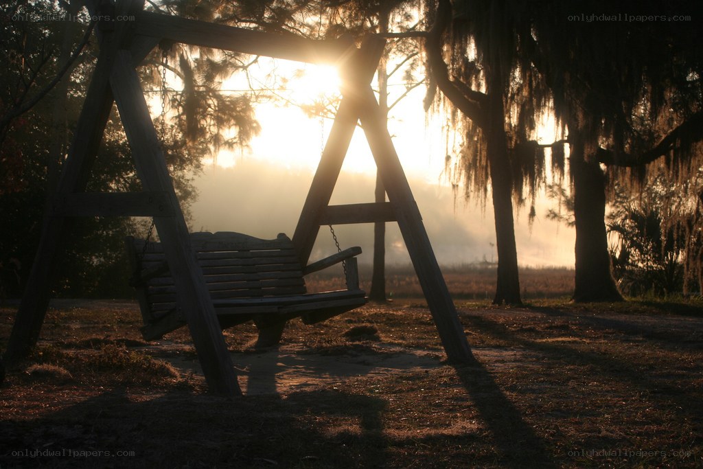 sunset swing in misty woods