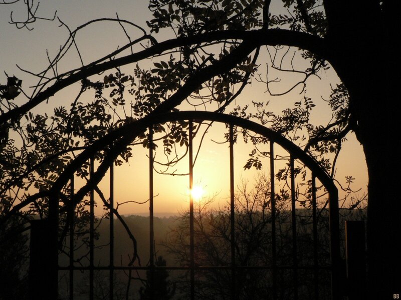 sunset through arched gate