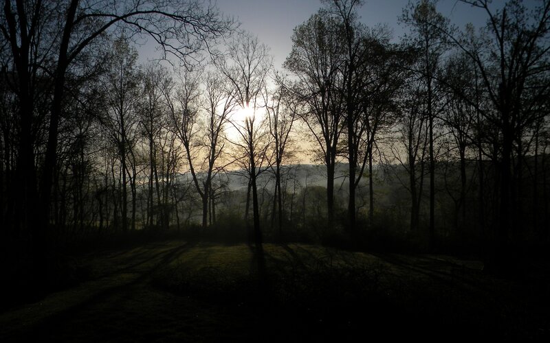 Sunset through bare trees