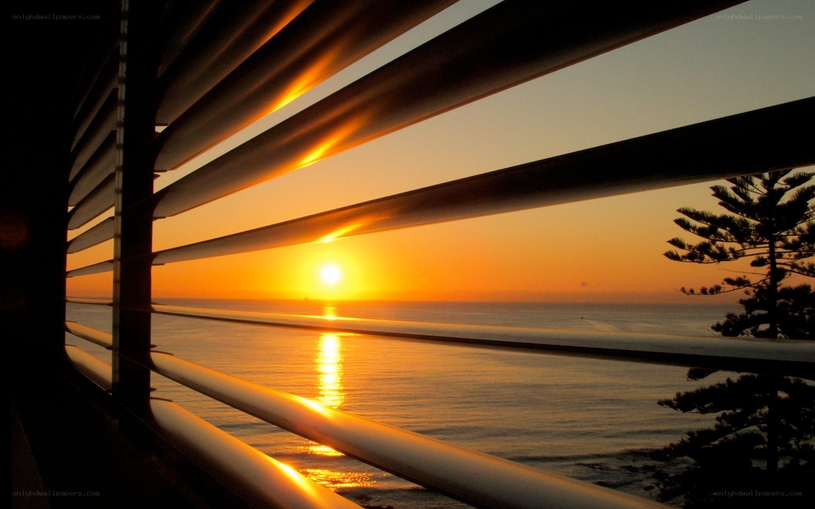 sunset through blinds