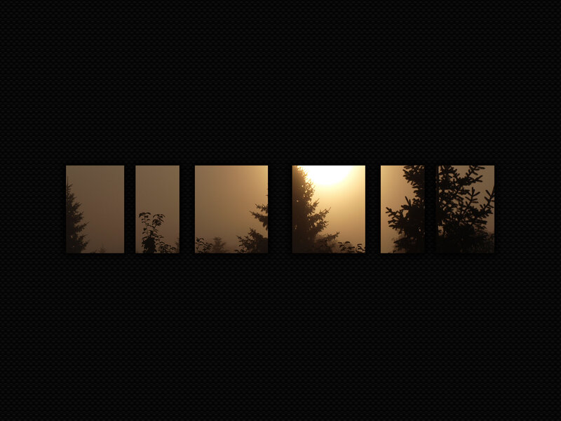 Sunset through forest windows