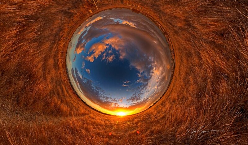 Sunset through grass tunnel