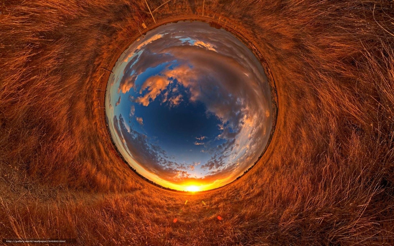Sunset through grass tunnel