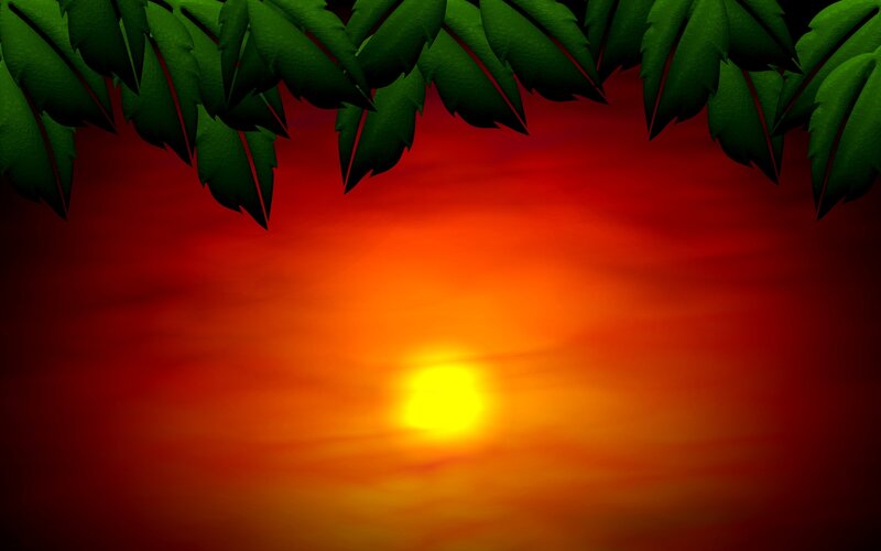 Sunset through green leaves