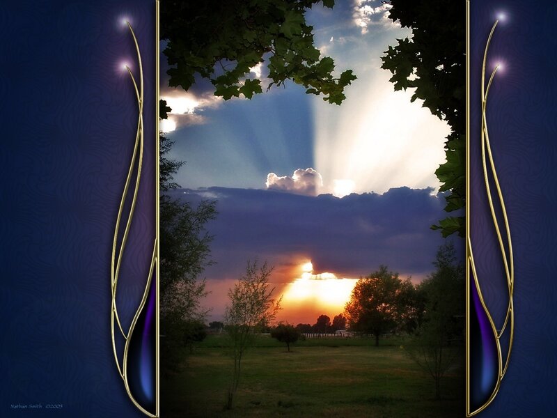 Sunset through leafy frame