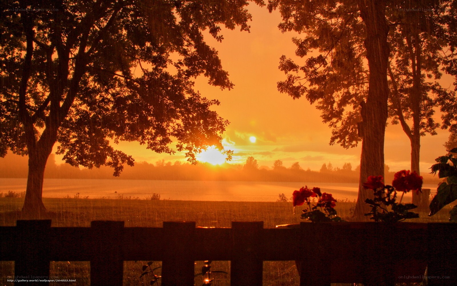 Sunset through rain