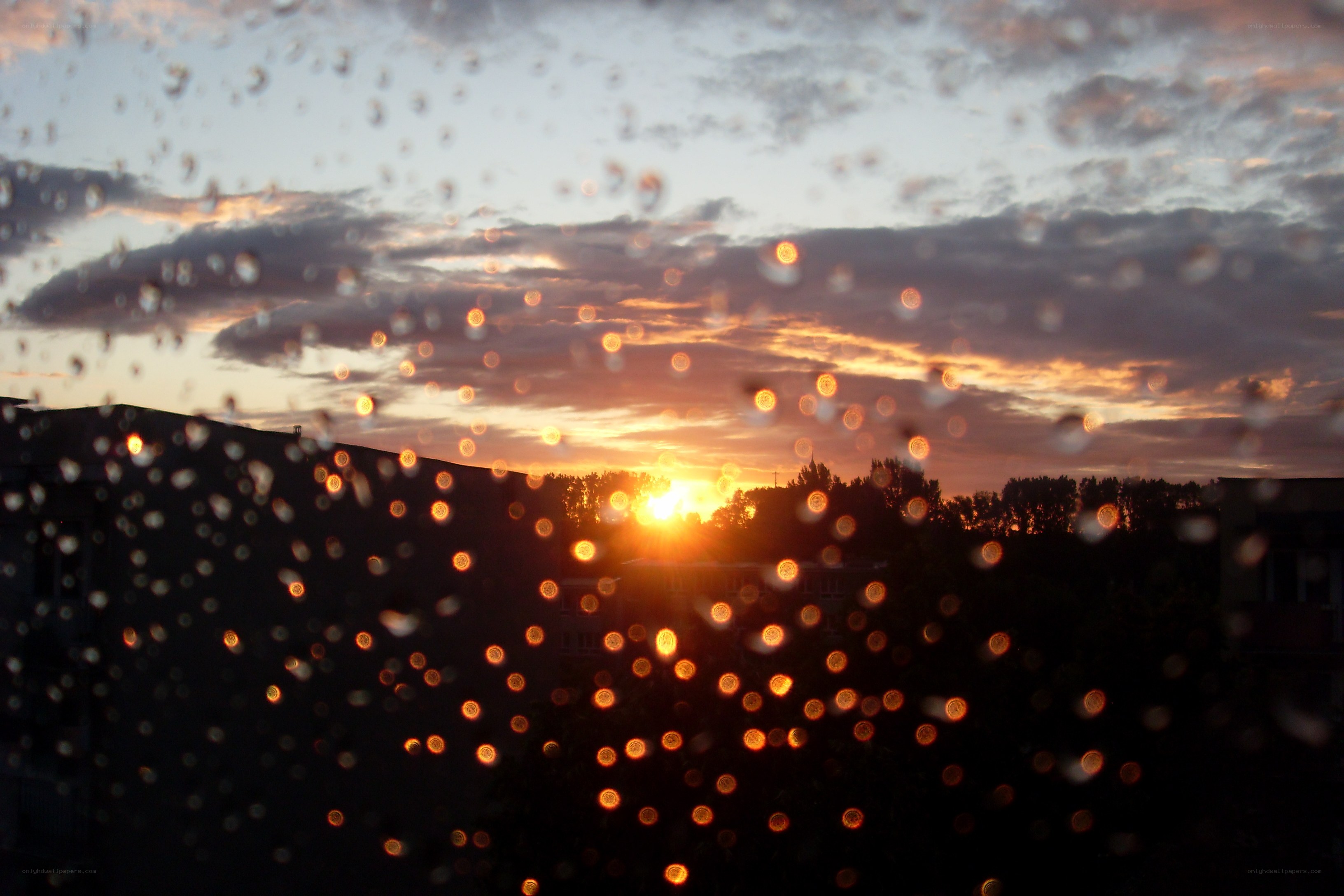 Sunset through raindrops