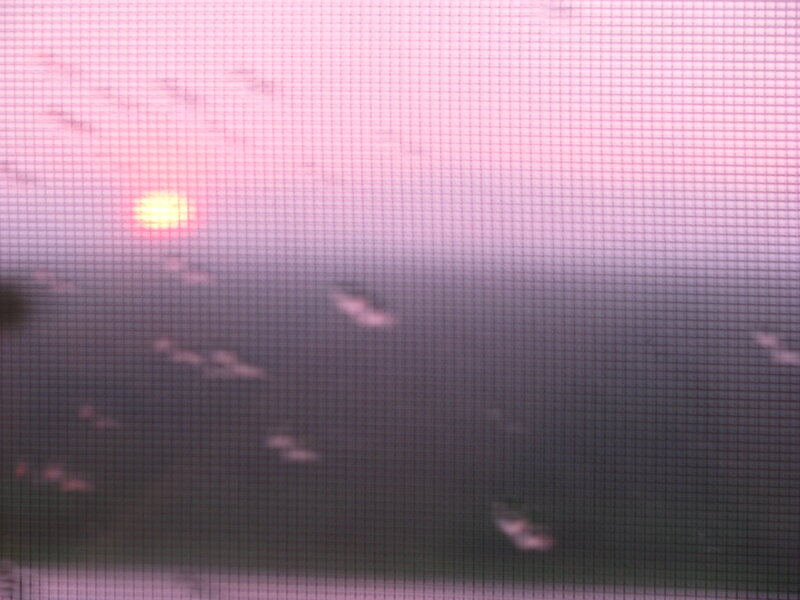 sunset through screen mesh