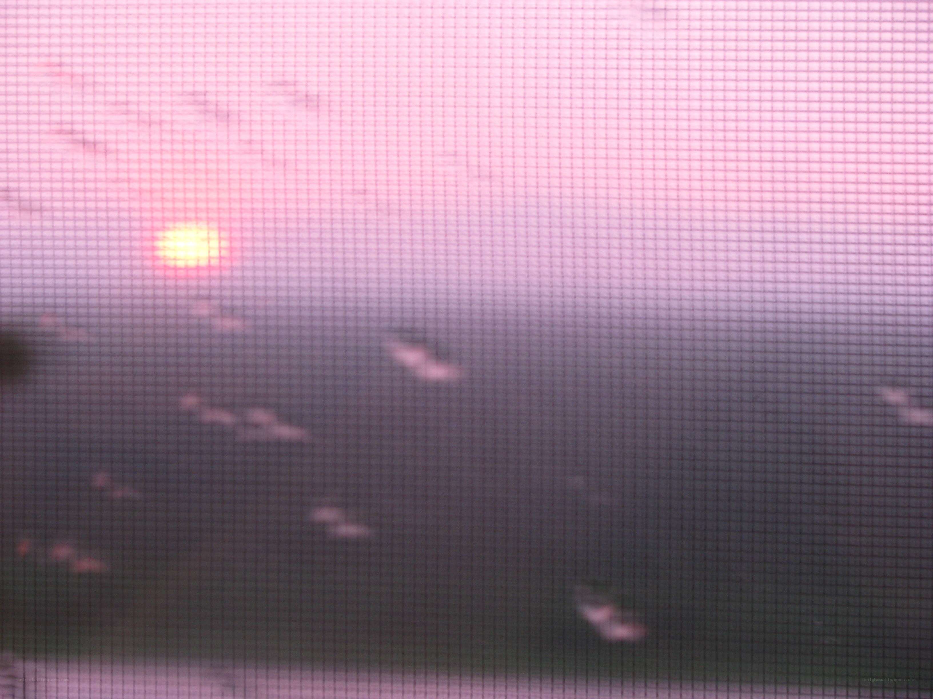 sunset through screen mesh