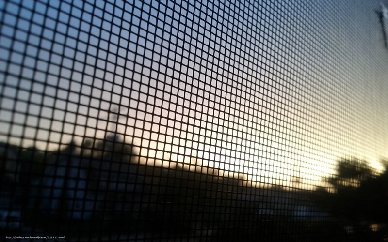 Sunset through screen mesh