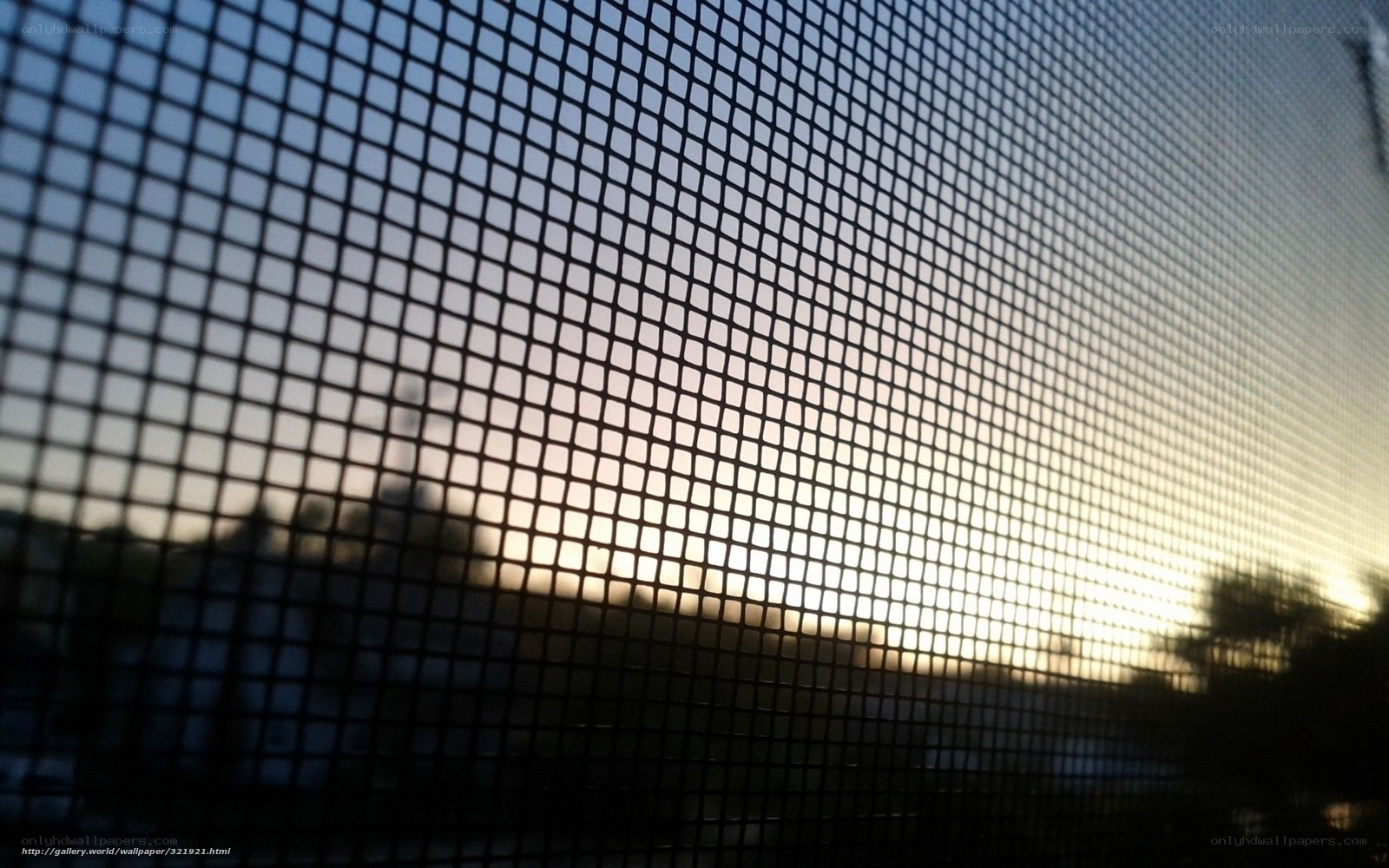 Sunset through screen mesh
