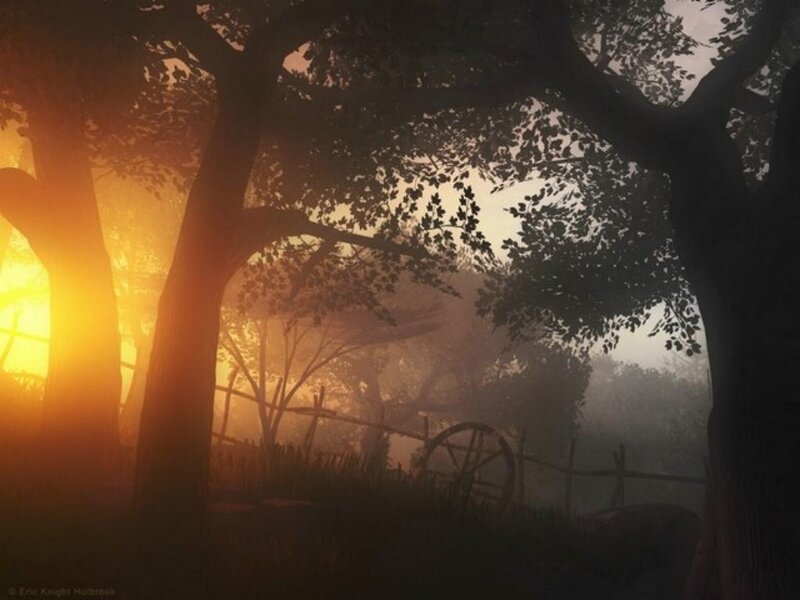 Sunset through the trees