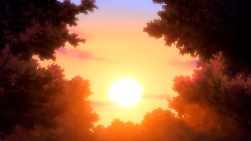 sunset through tree branches